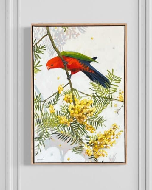 Curious king parrot with wattle - Kirsty McIntyre - Image 3